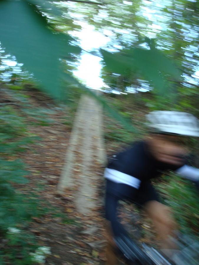 A blurred image of a cyclist riding on a dirt path through a wooded area, surrounded by green foliage and fallen leaves. The motion captures a sense of speed and movement along the trail. Frick Park mountain bike trail.
