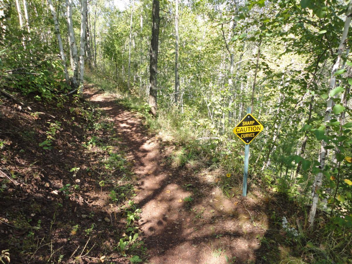 A narrow dirt hiking trail winding through a dense forest, lined with green plants and trees. A yellow caution sign is positioned alongside the path, warning of sharp curves ahead. Sunlight filters through the leaves, creating a serene and natural atmosphere. Cuyuna Lakes mountain bike trail.