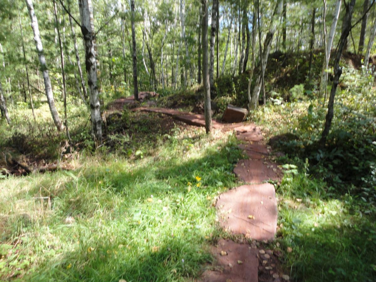 A natural trail winding through a lush forest, surrounded by tall trees and green grass. The path is made of stone slabs, leading into the distance where the foliage gets denser. Sunlight filters through the leaves, creating a serene and inviting atmosphere. Cuyuna Lakes mountain bike trail.