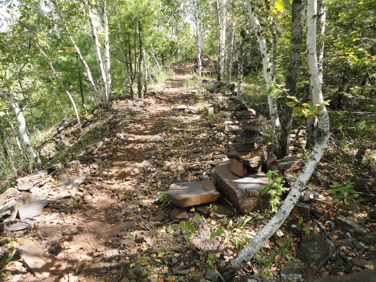 A narrow trail winding through a forest, bordered by birch trees and scattered rocks. The path is lined with fallen leaves, suggesting a peaceful, natural setting. Sunlight filters through the trees, illuminating the earthy tones of the dirt and stones. Cuyuna Lakes mountain bike trail.
