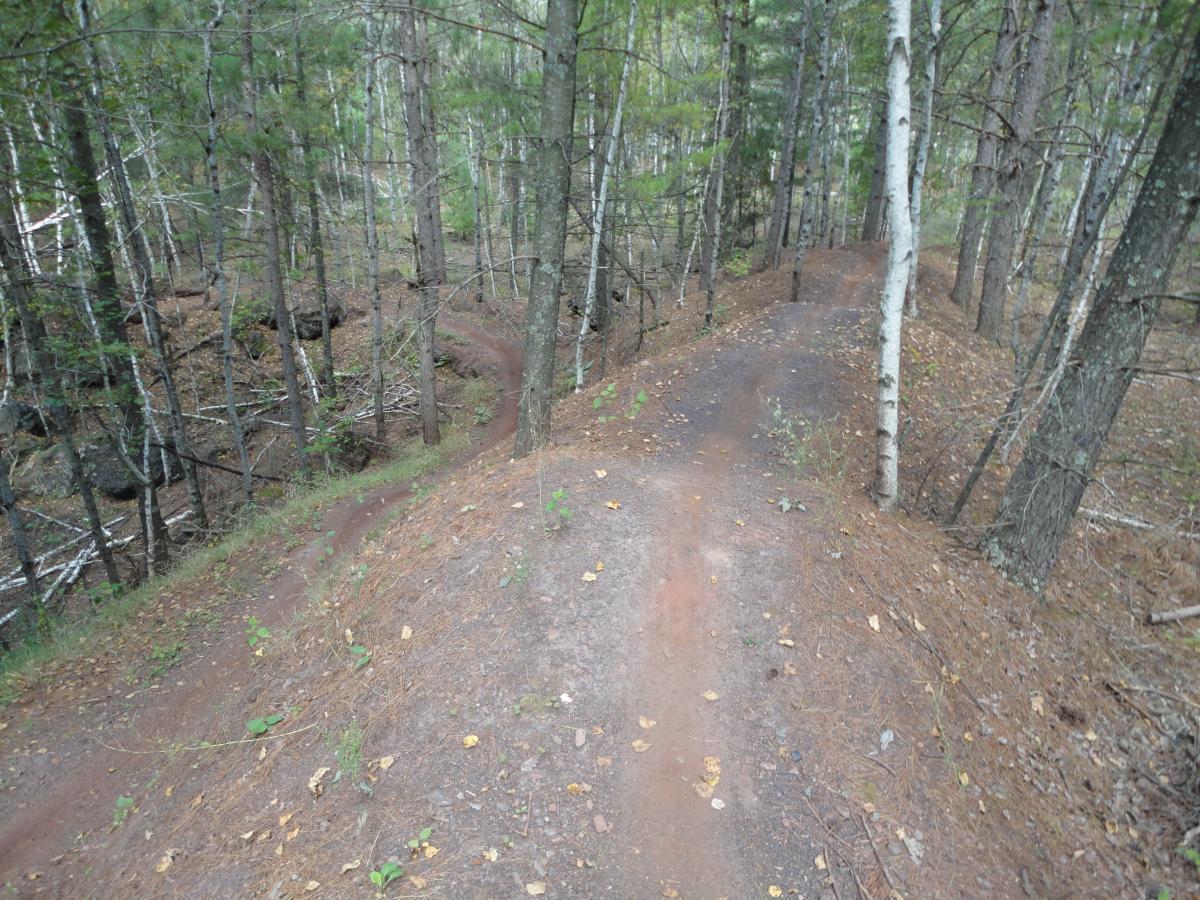 A winding dirt path through a dense forest, surrounded by tall trees and scattered leaves. The trail curves gently downhill, with patches of greenery and occasional rocks visible along the route. Cuyuna Lakes mountain bike trail.