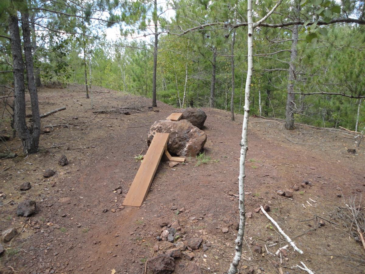A dirt trail winding through a forested area, featuring a large rock partially covered by wooden planks. Surrounding trees include conifers and birches, with scattered rocks and twigs across the ground. The scene conveys a natural outdoor environment. Cuyuna Lakes mountain bike trail.