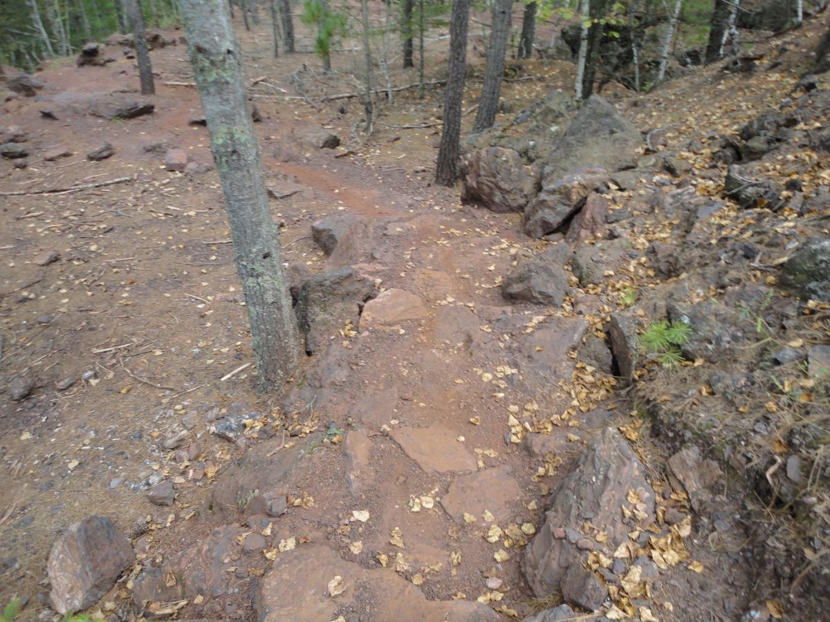 A forest trail winding through a wooded area, with a mix of dirt and rocky ground. Pine trees line the path, and scattered leaves cover the soil, indicating the presence of autumn. Cuyuna Lakes mountain bike trail.