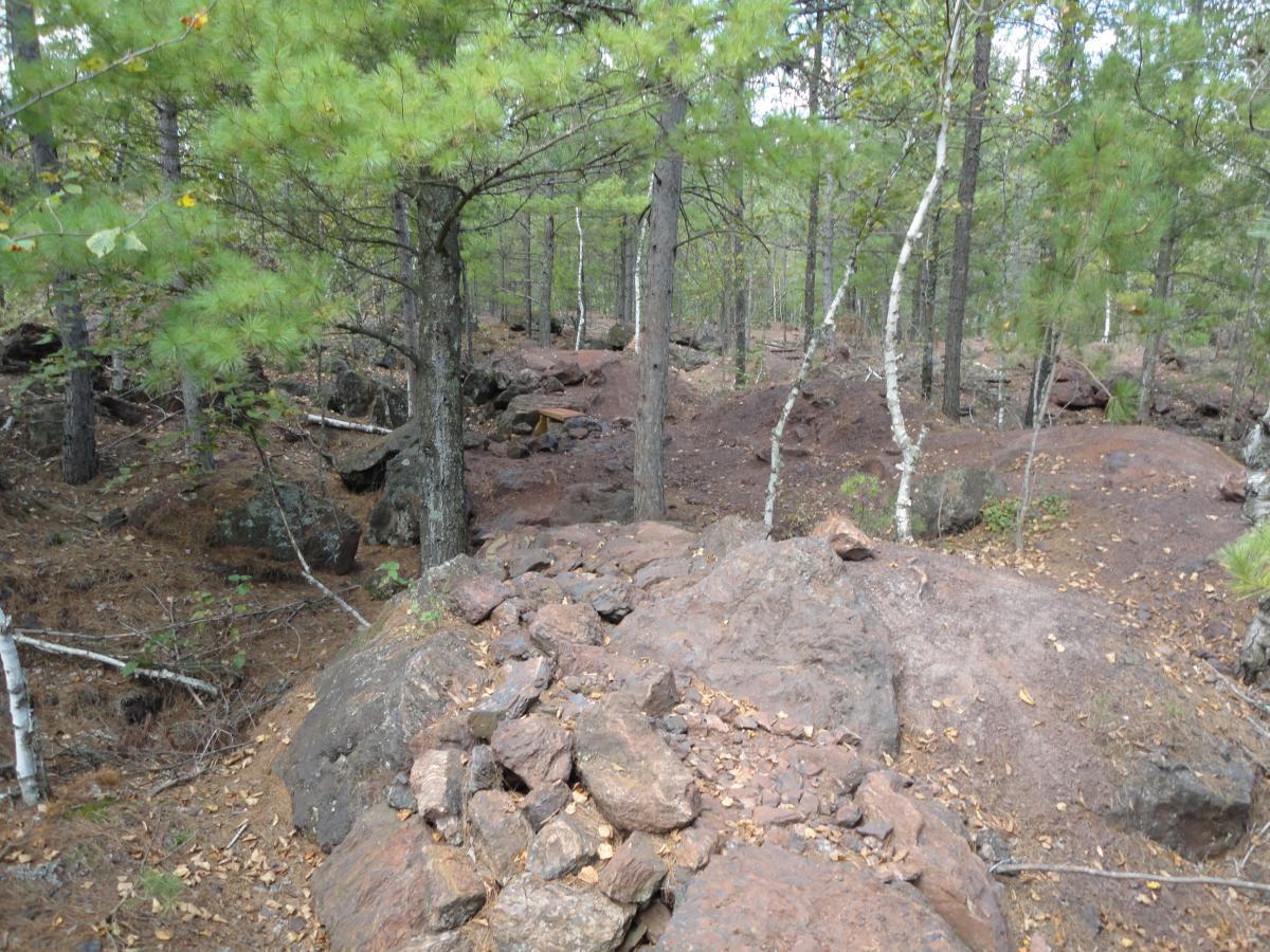 A forested landscape featuring tall evergreen trees and scattered rocks. The ground is covered with a mix of pine needles and small boulders. Sunlight filters through the trees, creating a natural and serene atmosphere. Cuyuna Lakes mountain bike trail.