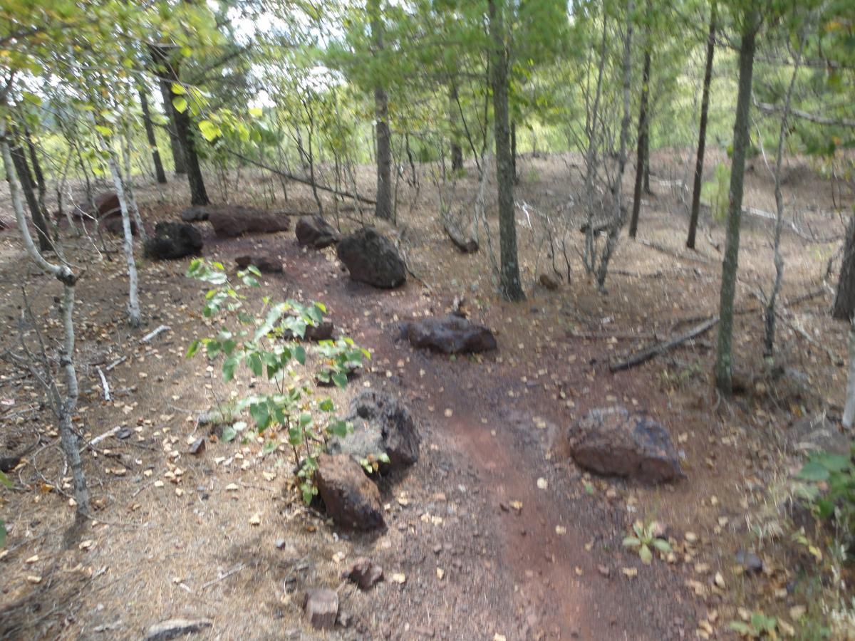 A narrow dirt path winding through a forest, lined with scattered rocks and patches of greenery. The ground is covered with fallen leaves and pine needles, and various trees populate the landscape, creating a natural, serene environment. Cuyuna Lakes mountain bike trail.