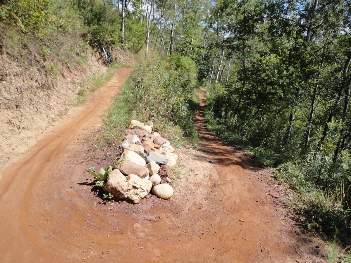A winding dirt path surrounded by lush greenery with a rocky outcrop on one side. The path splits into two directions, leading deeper into a wooded area with tall trees and vibrant foliage. Sunlight filters through the leaves, creating a serene and inviting outdoor scene. Cuyuna Lakes mountain bike trail.