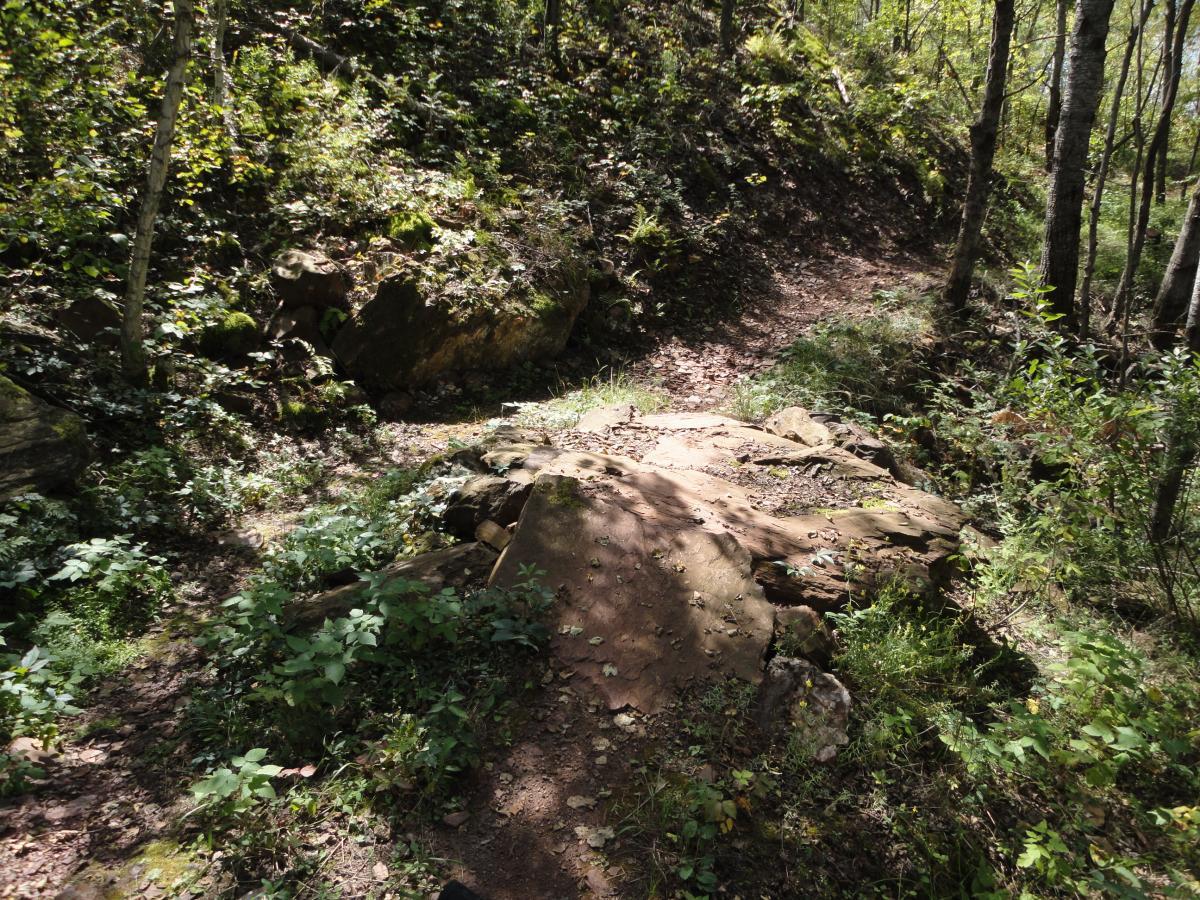 A narrow, winding trail through a lush forest, featuring a large rock outcrop surrounded by greenery, under sunlight filtering through the trees. Cuyuna Lakes mountain bike trail.