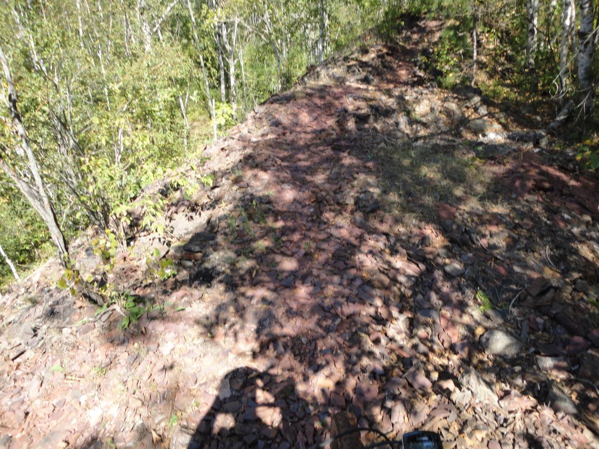 A rocky, uneven path winding through a wooded area, with small plants and trees growing alongside it. Sunlight filters through the foliage, casting shadows on the ground covered in broken rocks and leaves. Cuyuna Lakes mountain bike trail.