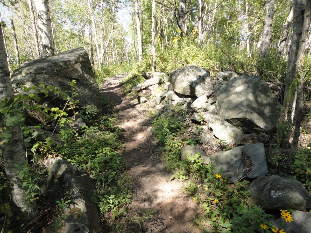A narrow dirt pathway winding through a forest, flanked by large rocks and surrounded by greenery and wildflowers. Sunlight filters through the trees, creating a peaceful and natural atmosphere. Cuyuna Lakes mountain bike trail.