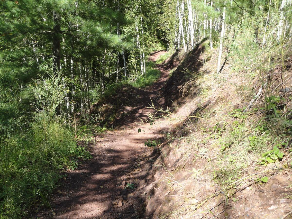 A dirt trail winding through a lush green forest, bordered by trees and vegetation on both sides. Sunlight filters through the leaves, creating a dappled effect on the path. Cuyuna Lakes mountain bike trail.