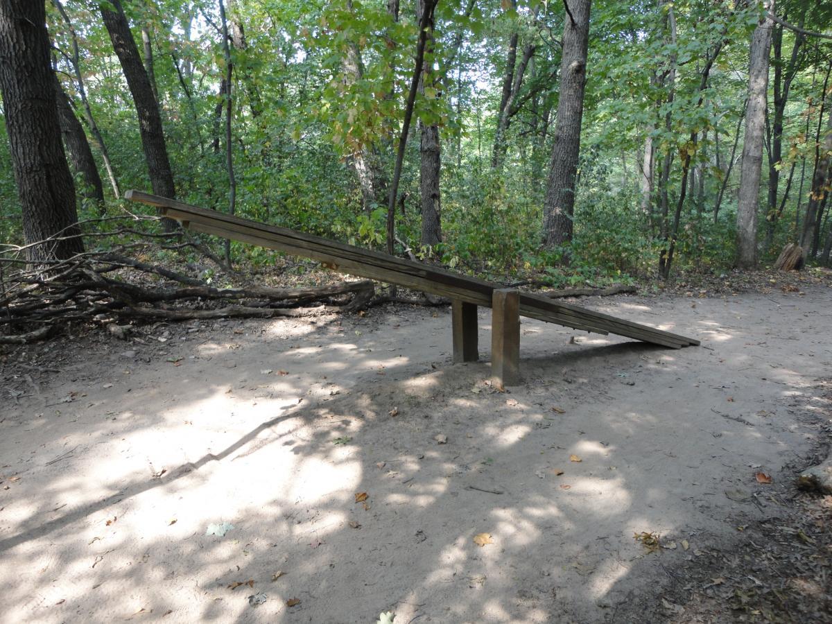 A wooden seesaw positioned on a sandy ground in a forested area. Surrounding trees provide a green backdrop, and scattered leaves are visible on the ground. The scene is lit with soft natural light filtering through the foliage. Hillside Park mountain bike trail.