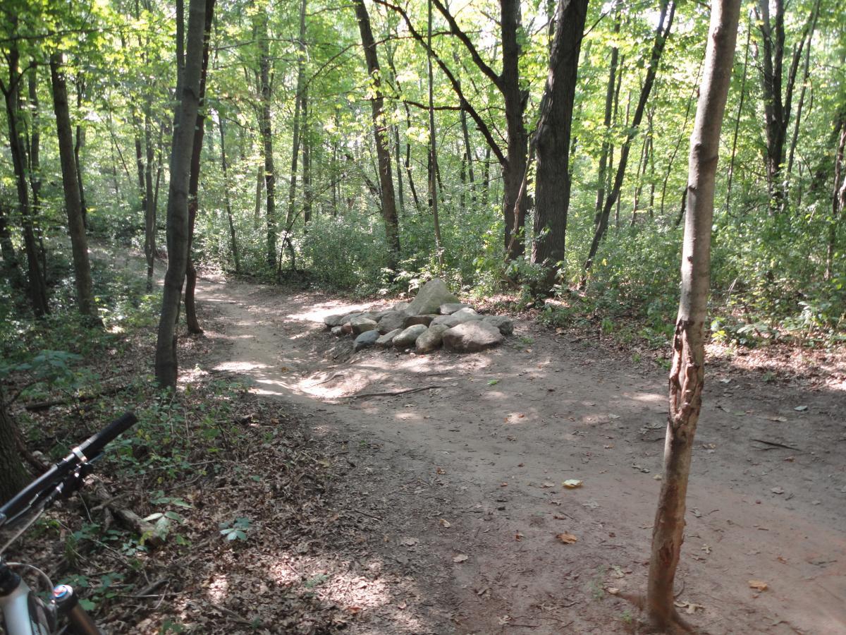 A dirt trail winding through a lush forest, surrounded by tall trees and greenery. A pile of rocks is positioned to the side of the trail, indicating a possible junction or obstacle. Sunlight filters through the leaves, creating a tranquil atmosphere. The image captures a serene moment in nature, ideal for outdoor enthusiasts. Hillside Park mountain bike trail.