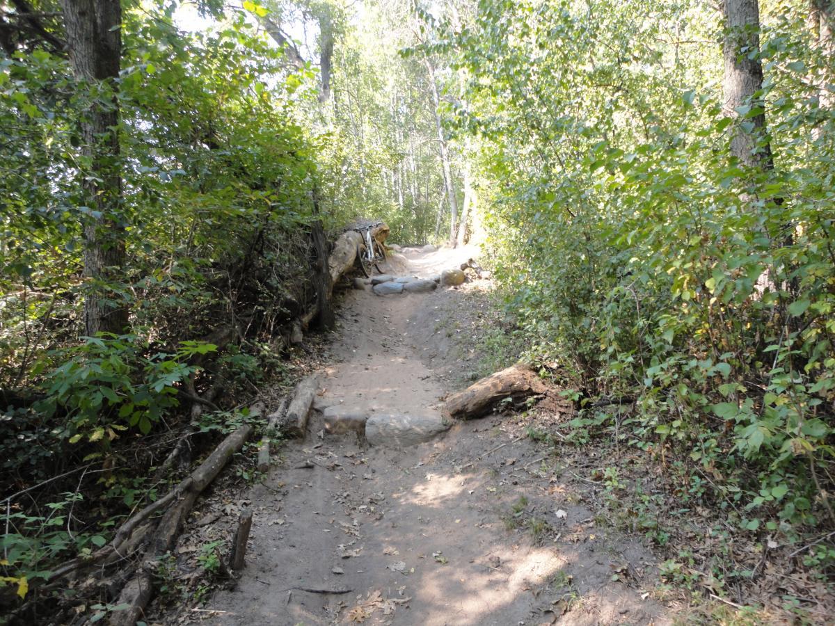 A narrow dirt path winding through a lush green forest, flanked by dense vegetation and trees. The path has some exposed roots and rocks, suggesting a natural and rugged trail. Sunlight filters through the leaves, creating a warm and inviting atmosphere. Hillside Park mountain bike trail.