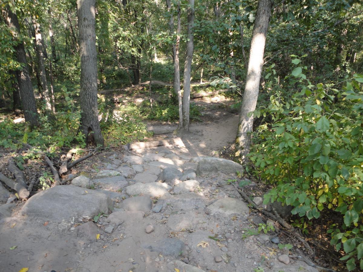 A winding trail through a forested area, featuring rocky terrain and surrounded by tall trees and greenery. The path leads downward, with visible stones and patches of soil, inviting exploration of the natural environment. Hillside Park mountain bike trail.