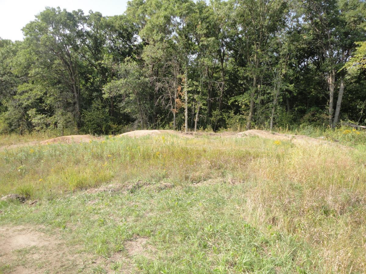 A grassy area in a natural setting with dirt jumps in the background, surrounded by lush green trees. The foreground features tall grasses and wildflowers, suggesting a rural outdoor environment. Hillside Park mountain bike trail.