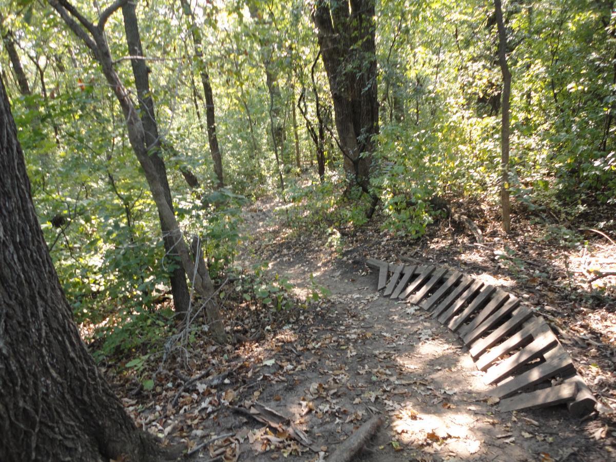 A dirt path winding through a vibrant green forest, with sunlight filtering through the leaves. To the side of the path, a wooden structure made of slats is positioned along the ground, adding texture to the natural setting. Fallen leaves are scattered on the forest floor, enhancing the autumnal feel of the scene. Eastwood Trails mountain bike trail.