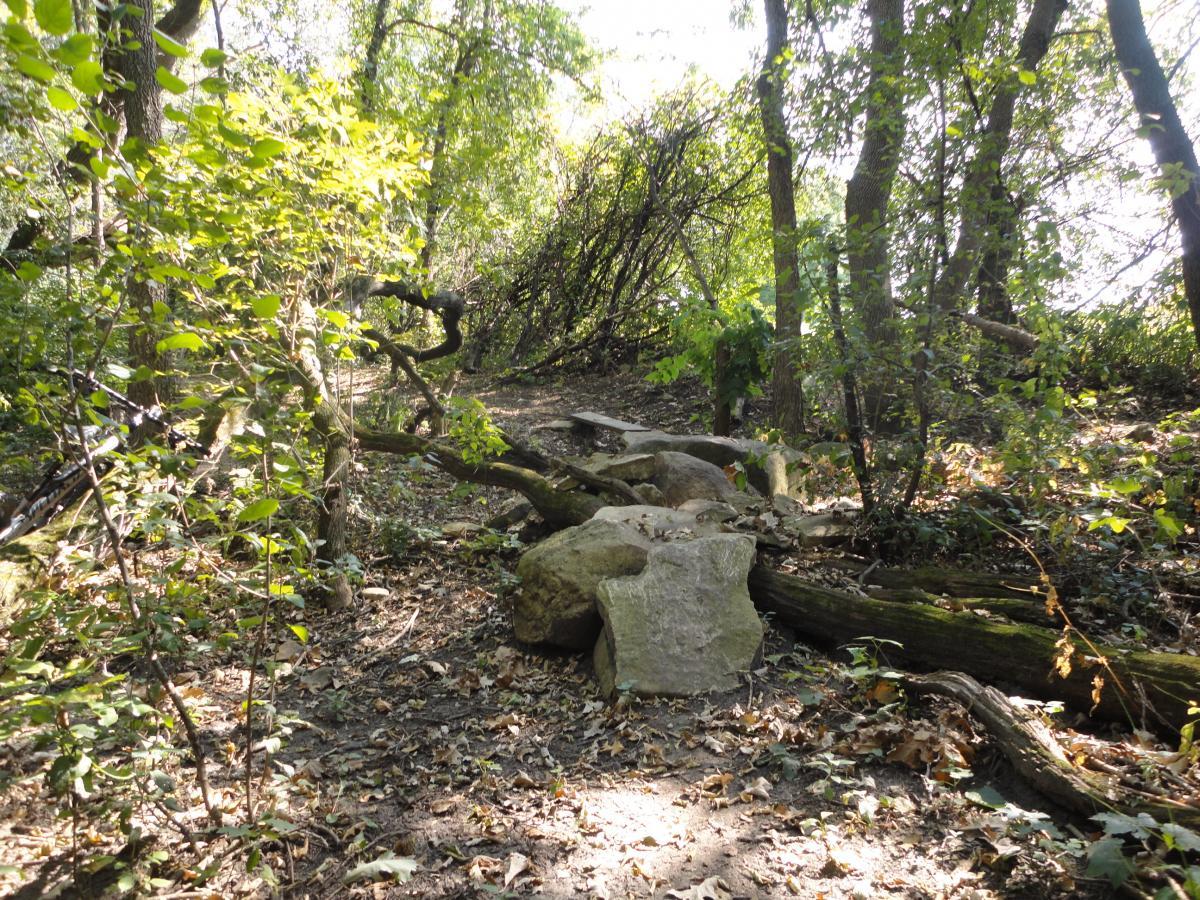 A sunlit forest path surrounded by lush green foliage and scattered leaves, featuring large rocks and fallen tree branches along the trail. Eastwood Trails mountain bike trail.