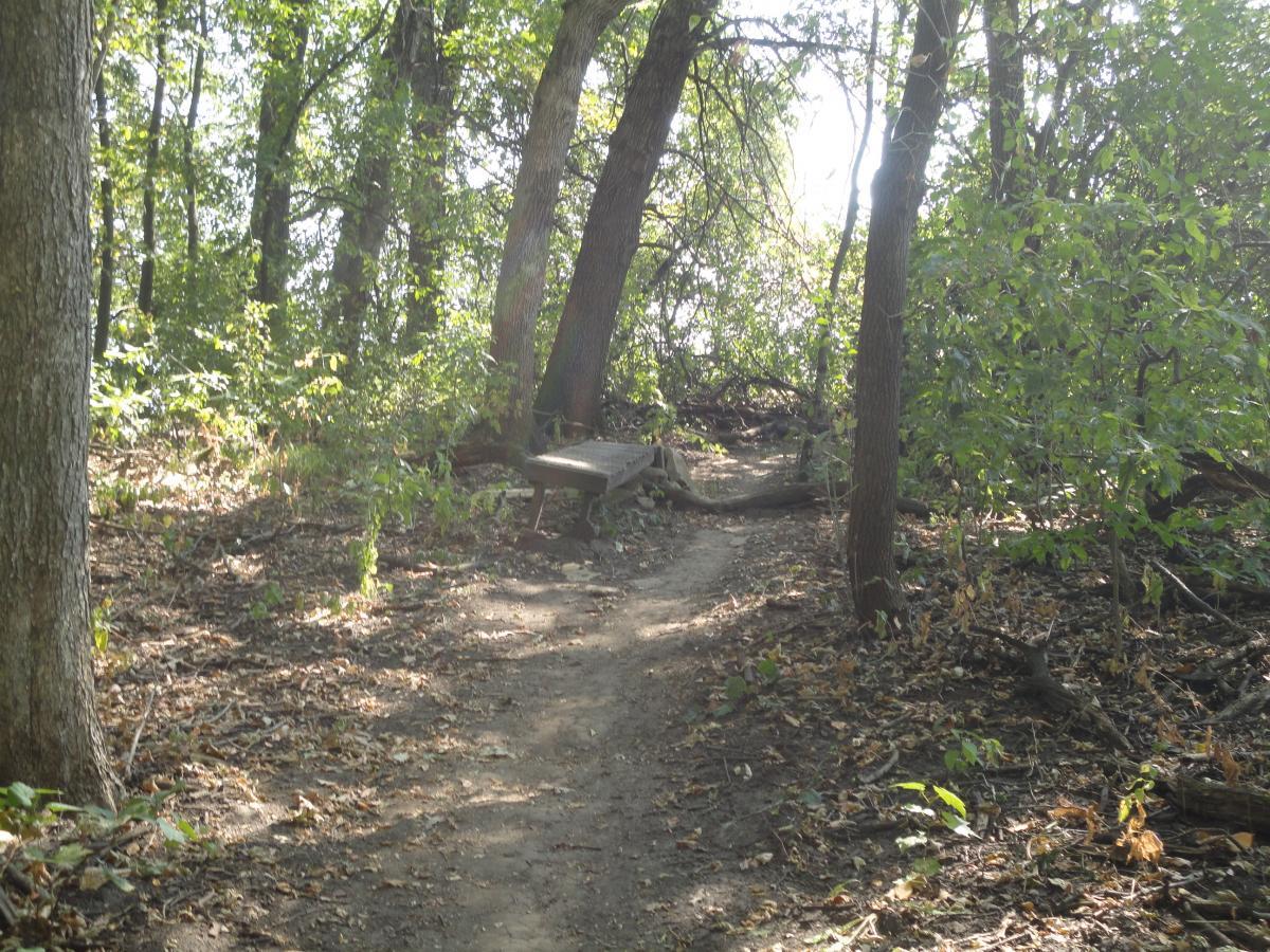 A narrow dirt path winding through a lush green forest, bordered by trees and underbrush. A simple wooden bench sits off to the side, partially hidden by foliage, inviting visitors to enjoy the peaceful natural surroundings. Sunlight filters through the leaves, creating a serene atmosphere. Eastwood Trails mountain bike trail.