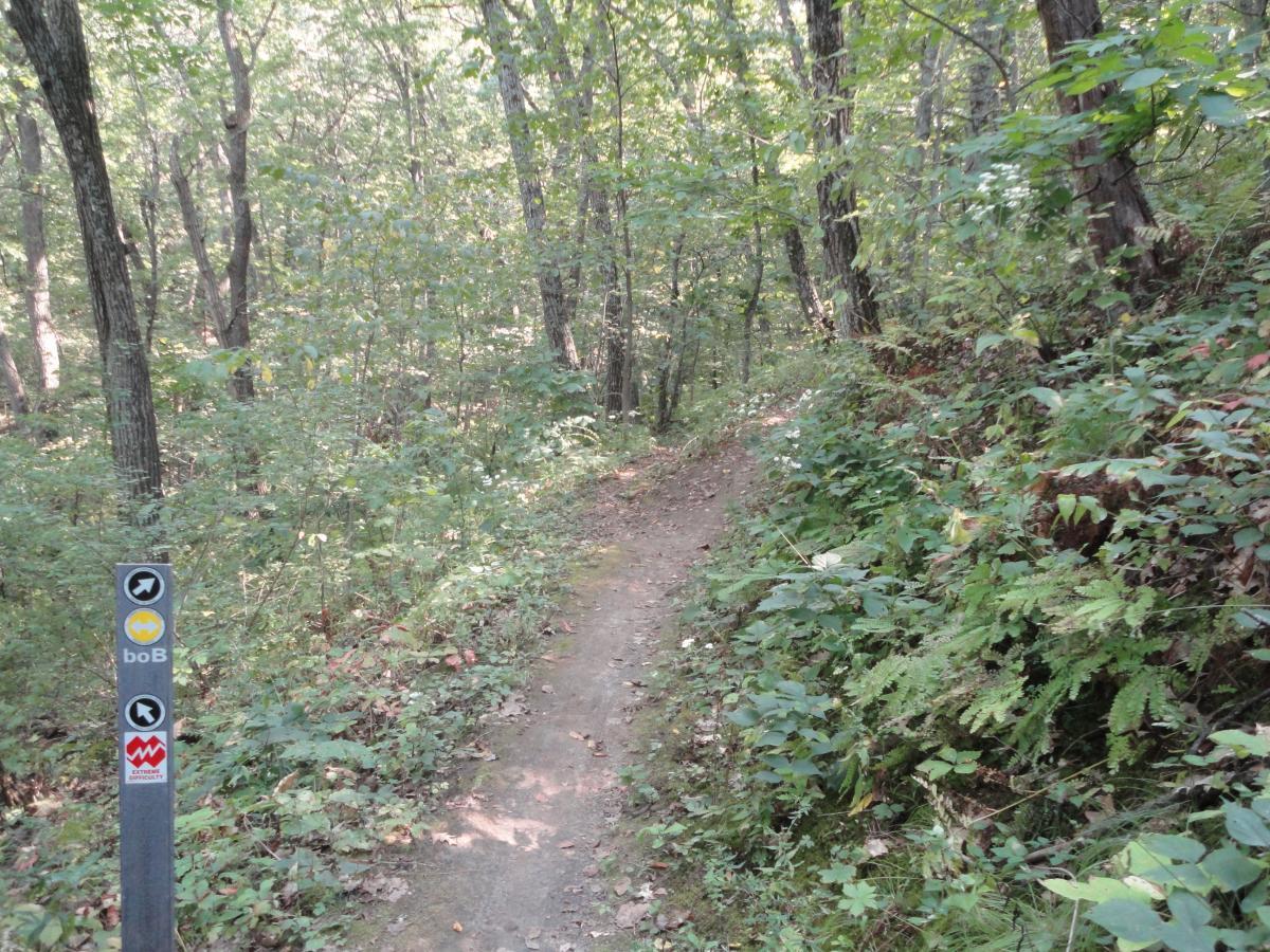A narrow dirt trail winding through a lush green forest, flanked by various plants and trees. A trail marker post on the left features three colored symbols indicating different paths. Skeeter / Abyss / French Connection / Bob Trail mountain bike trail.