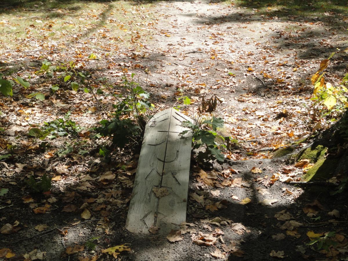 A weathered wooden marker partially covered in autumn leaves along a forest path, surrounded by greenery and dappled sunlight filtering through the trees. Upper Hermosa mountain bike trail.
