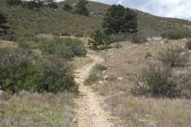 A winding dirt path leads through a grassy landscape dotted with shrubs and rocks, set against a backdrop of gently rolling hills and a few scattered trees under a cloudy sky. Reservoir Ridge mountain bike trail.