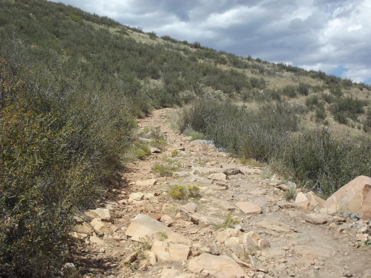 A rocky hiking trail winding through a hillside covered in green shrubs and grasses, under a partly cloudy sky. Reservoir Ridge mountain bike trail.