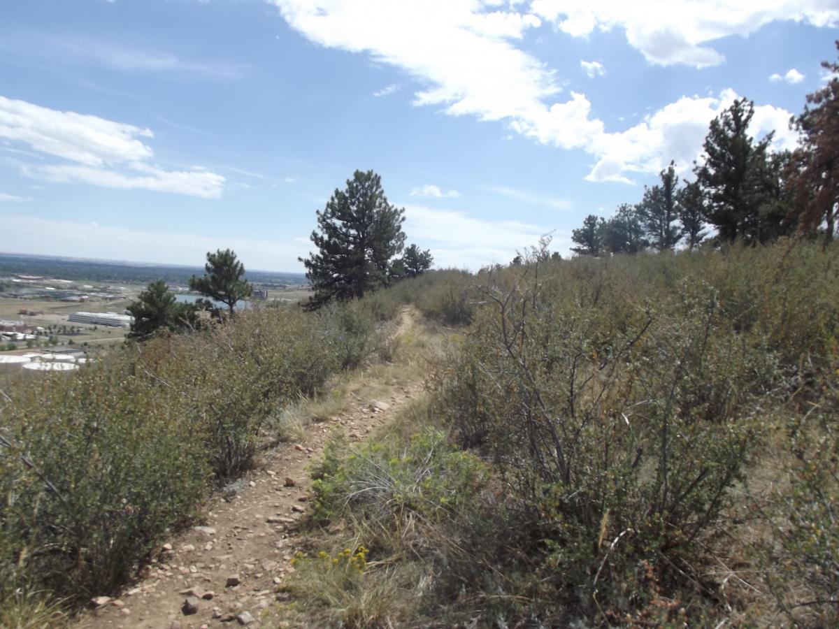 A narrow dirt trail winding along a hillside, surrounded by low shrubs and grass. In the background, a clear blue sky with scattered clouds stretches above a valley featuring fields and buildings. Pine trees line the edge of the trail, offering a natural, scenic landscape. Foothills Trail mountain bike trail.