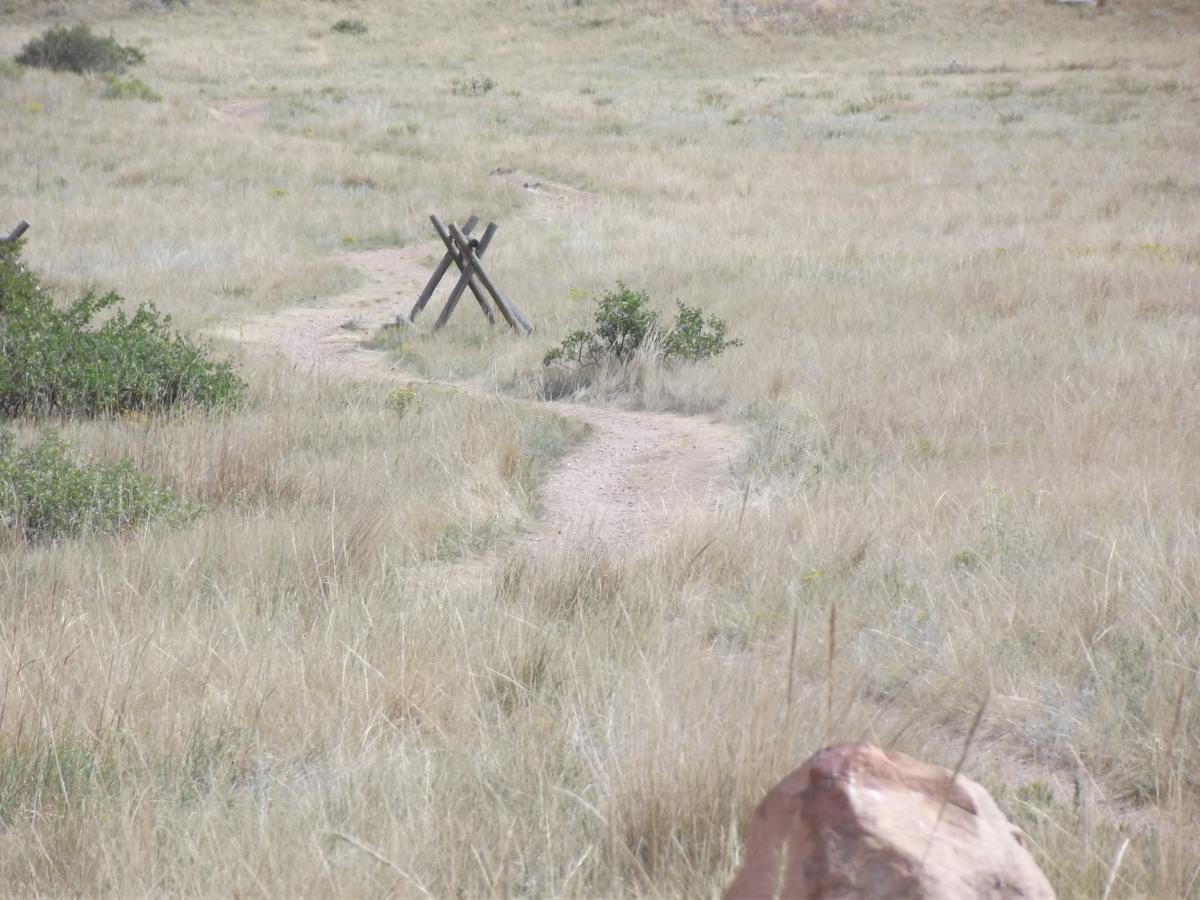 A winding dirt path through a grassy field, bordered by small shrubs, with wooden posts arranged in an X-shape in the background. Maxwell's mountain bike trail.
