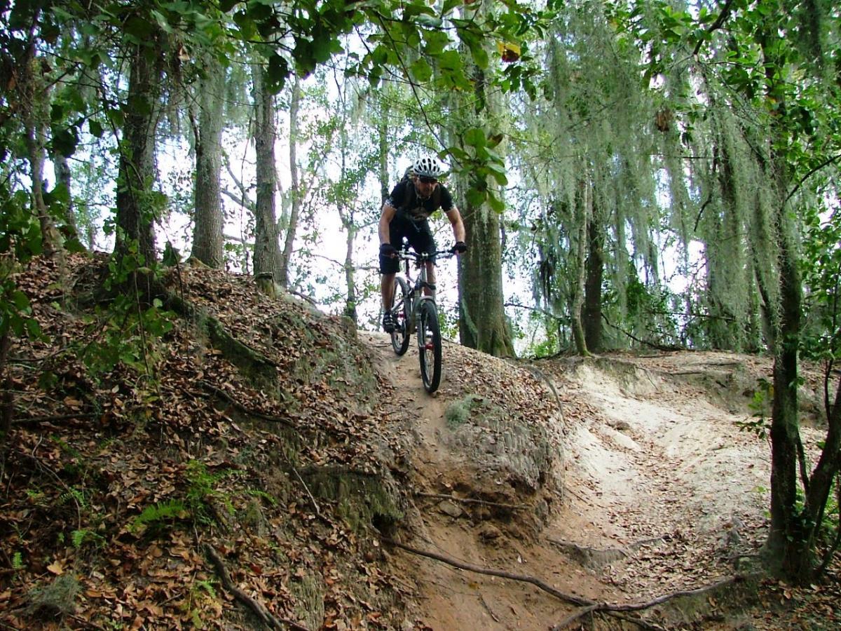 A mountain biker navigates a dirt trail through a wooded area, surrounded by trees and Spanish moss. The rider is leaning forward on the bike as they descend a rocky slope, with leaves scattered on the ground. Alafia River State Park mountain bike trail.