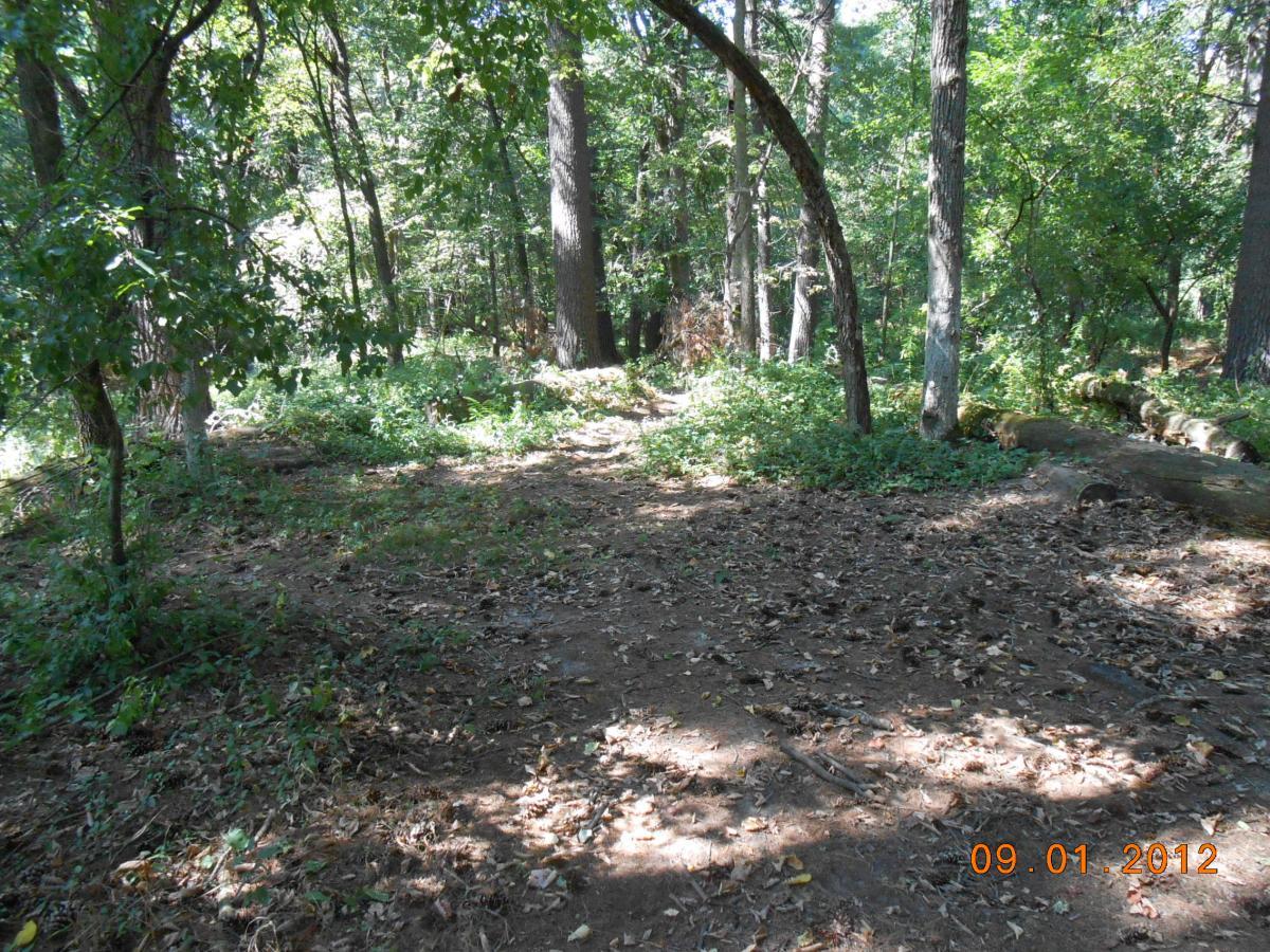 A serene forest scene featuring a dirt path surrounded by greenery, trees, and fallen leaves. Sunlight filters through the leafy canopy, creating a tranquil atmosphere in the woods. The ground is uneven, with patches of grass and undergrowth visible. Otter Creek mountain bike trail.
