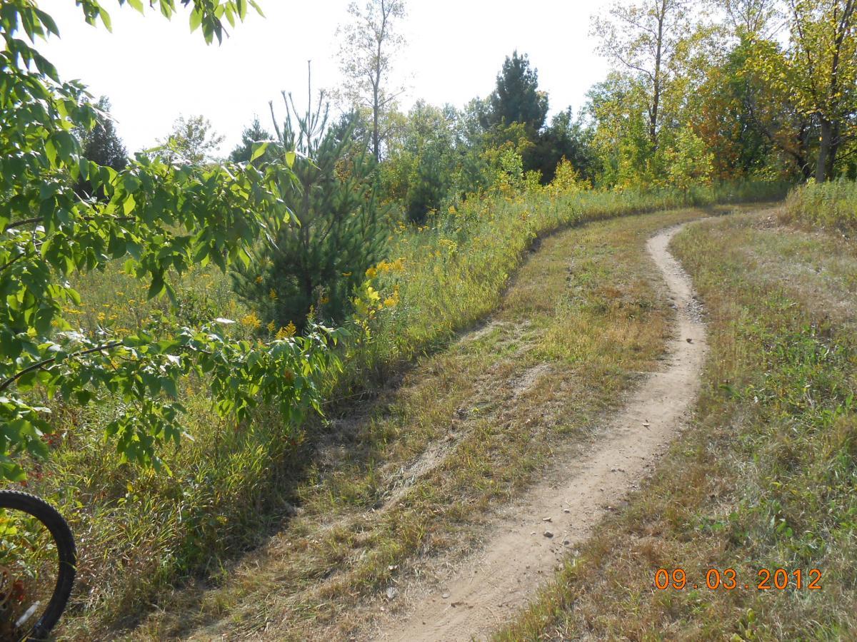 A winding dirt path curves through a grassy area, surrounded by trees and yellow wildflowers under a clear blue sky. Salem Hills Mountain Bike Trail mountain bike trail.