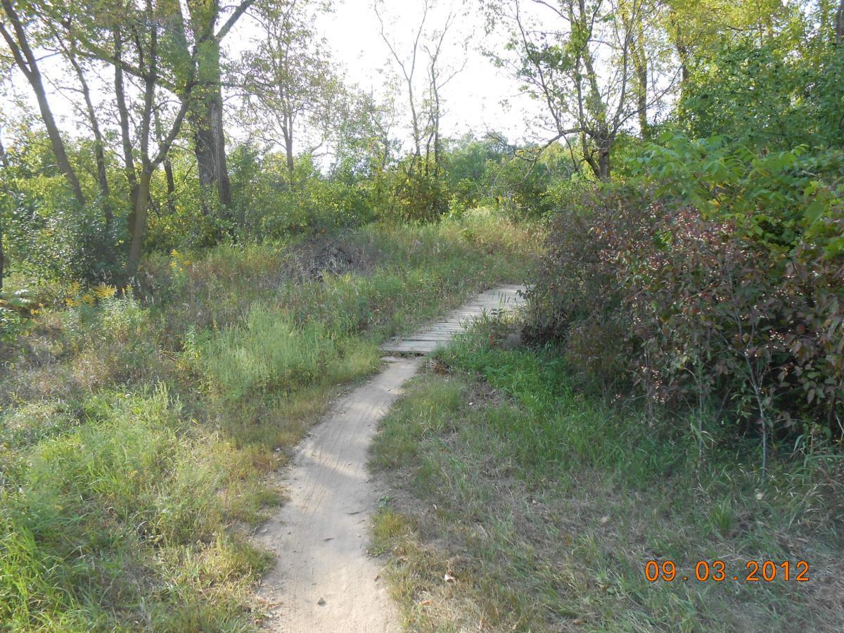A winding dirt path through a green, wooded area, surrounded by tall grasses and bushes. The scene is bright and sunny, showcasing the natural landscape with trees lining the path. A wooden plank pathway is visible, enhancing accessibility. Salem Hills Mountain Bike Trail mountain bike trail.