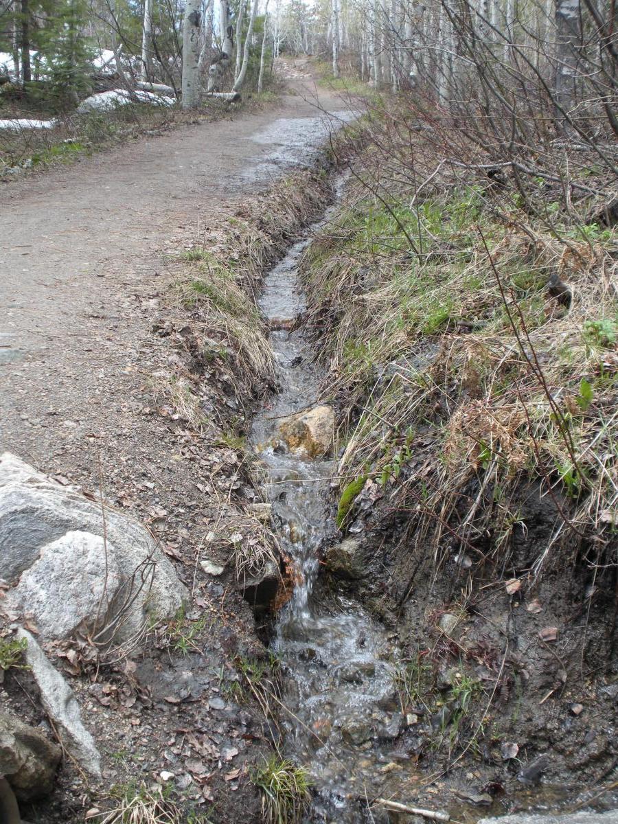 A narrow dirt path lined with grass and scattered rocks, with a small stream of water flowing alongside it. Trees are visible in the background, and patches of snow can be seen in some areas. Fish Creek Falls mountain bike trail.