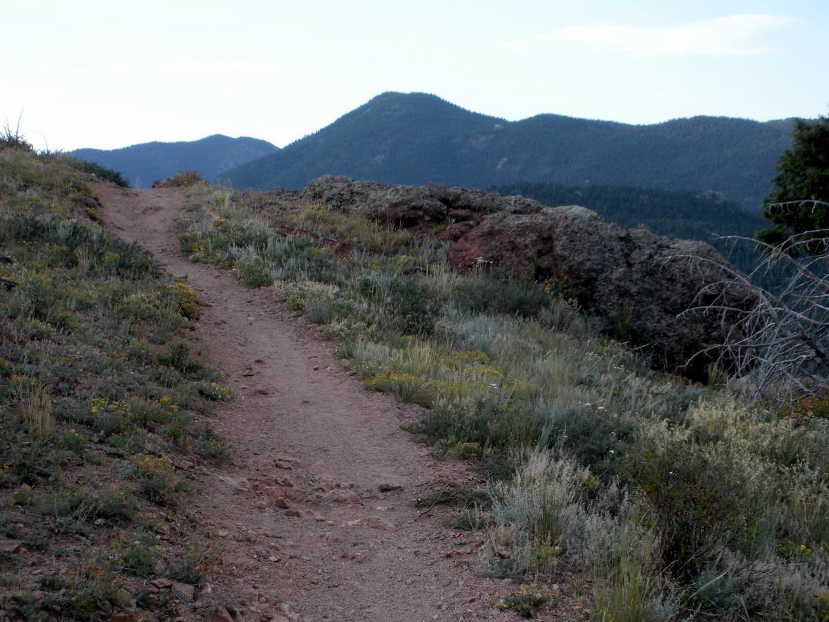A winding dirt path leads through lush greenery and wildflowers, surrounded by rolling hills and mountains in the background under a slightly cloudy sky. Walker Ranch mountain bike trail.