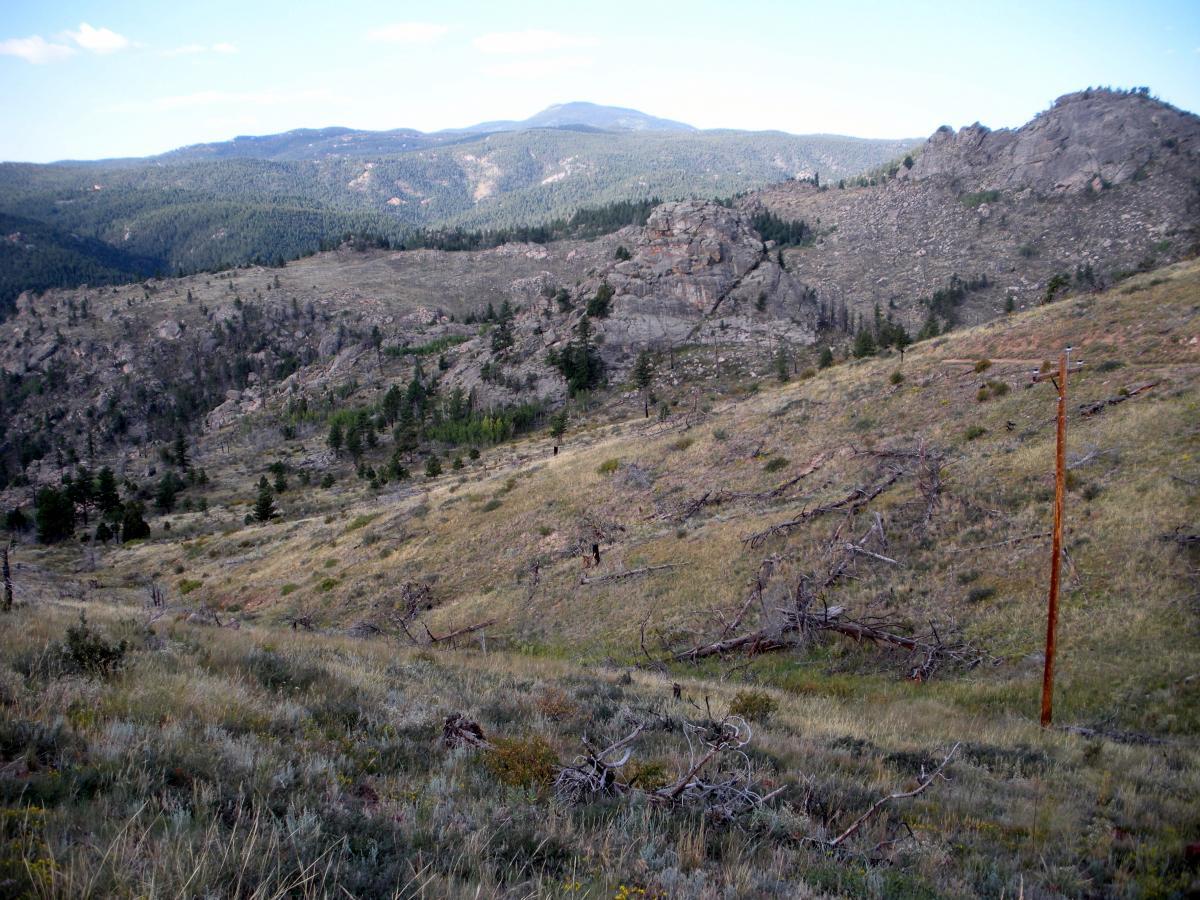 A panoramic view of a mountainous landscape featuring rolling hills covered with sparse vegetation, rocky outcrops, and a mix of evergreen trees. The foreground includes grassy slopes and fallen branches, while the background showcases distant mountains under a clear blue sky. A weathered power pole stands on the right side of the image. Walker Ranch mountain bike trail.