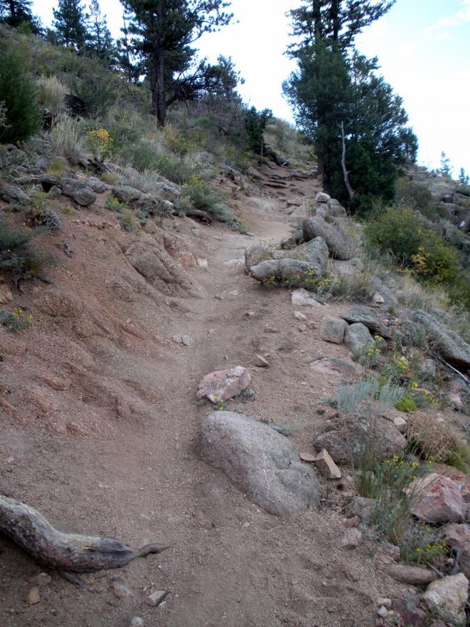 Winding dirt trail leading uphill through rocky terrain, surrounded by sparse vegetation and trees. The path is uneven with scattered rocks and natural elements. Walker Ranch mountain bike trail.