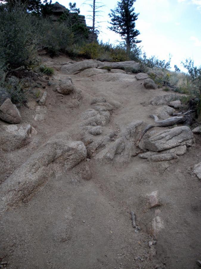 A rocky and uneven hiking trail winding uphill, surrounded by sparse vegetation and trees. The path is primarily composed of dirt and exposed rocks, indicating a natural outdoor setting. Walker Ranch mountain bike trail.