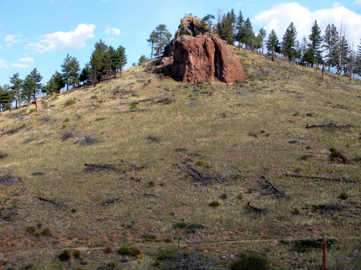 A hillside featuring a rocky outcrop surrounded by patches of grass and scattered trees under a partly cloudy sky. The terrain shows signs of recent disturbances, with downed branches and fallen logs visible. Walker Ranch mountain bike trail.