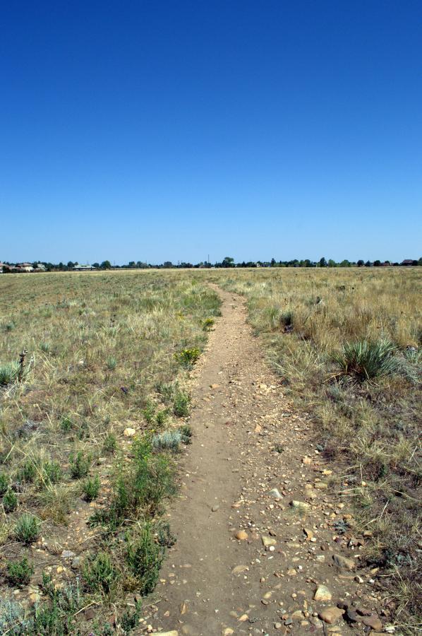 A winding dirt path through an open grassy field under a clear blue sky. The pathway is bordered by small plants and rocks, leading towards distant trees and structures on the horizon. Davidson Mesa mountain bike trail.
