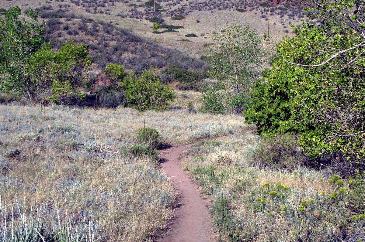 A winding dirt path surrounded by green shrubbery and trees, leading into a grassy landscape with gentle rolling hills in the background. Chimney Gulch mountain bike trail.