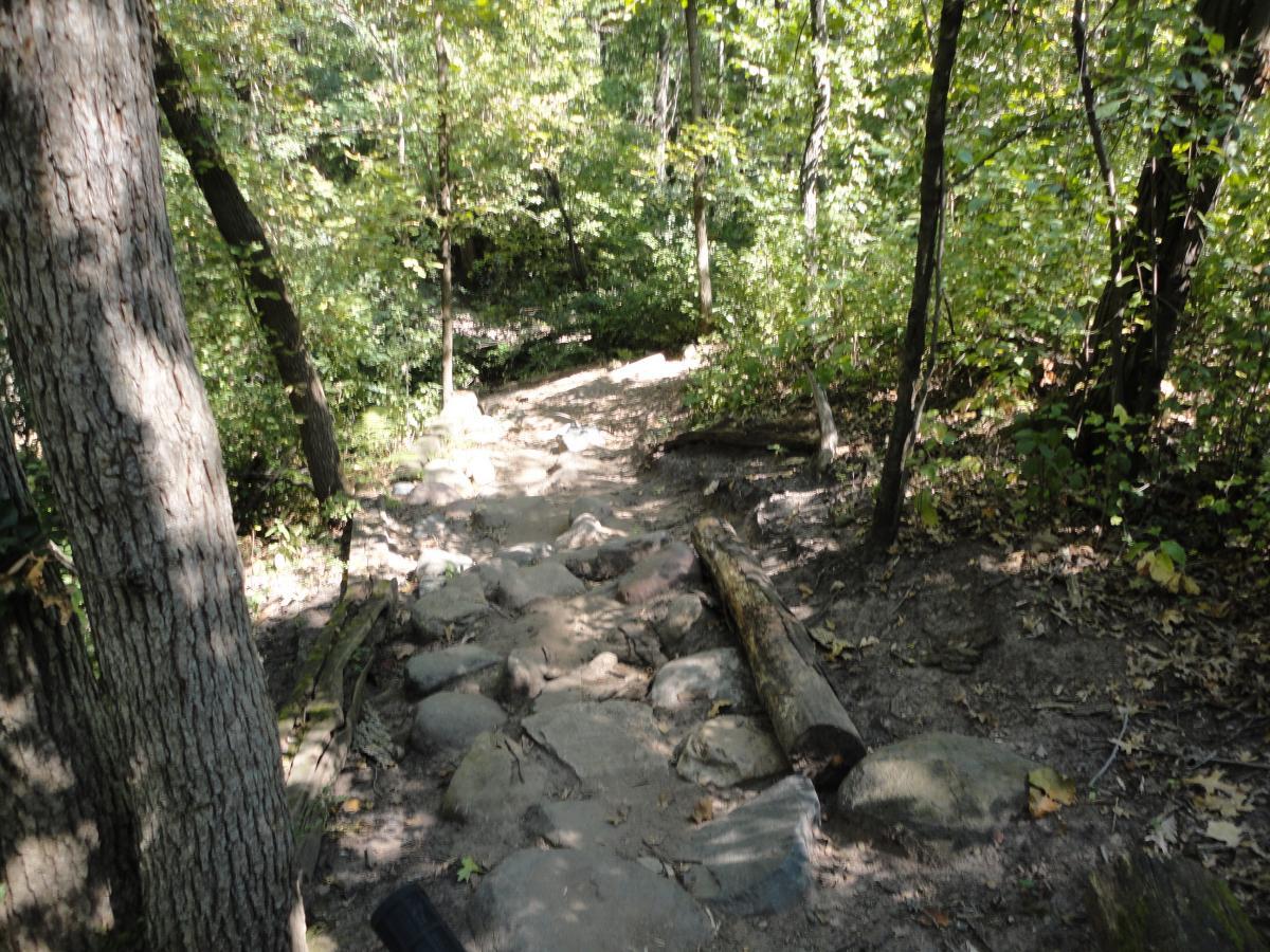 A rocky hiking trail surrounded by dense trees and lush greenery, with natural sunlight filtering through the leaves. The path is uneven, featuring stones and logs, leading into the scenic woods. Hillside Park mountain bike trail.