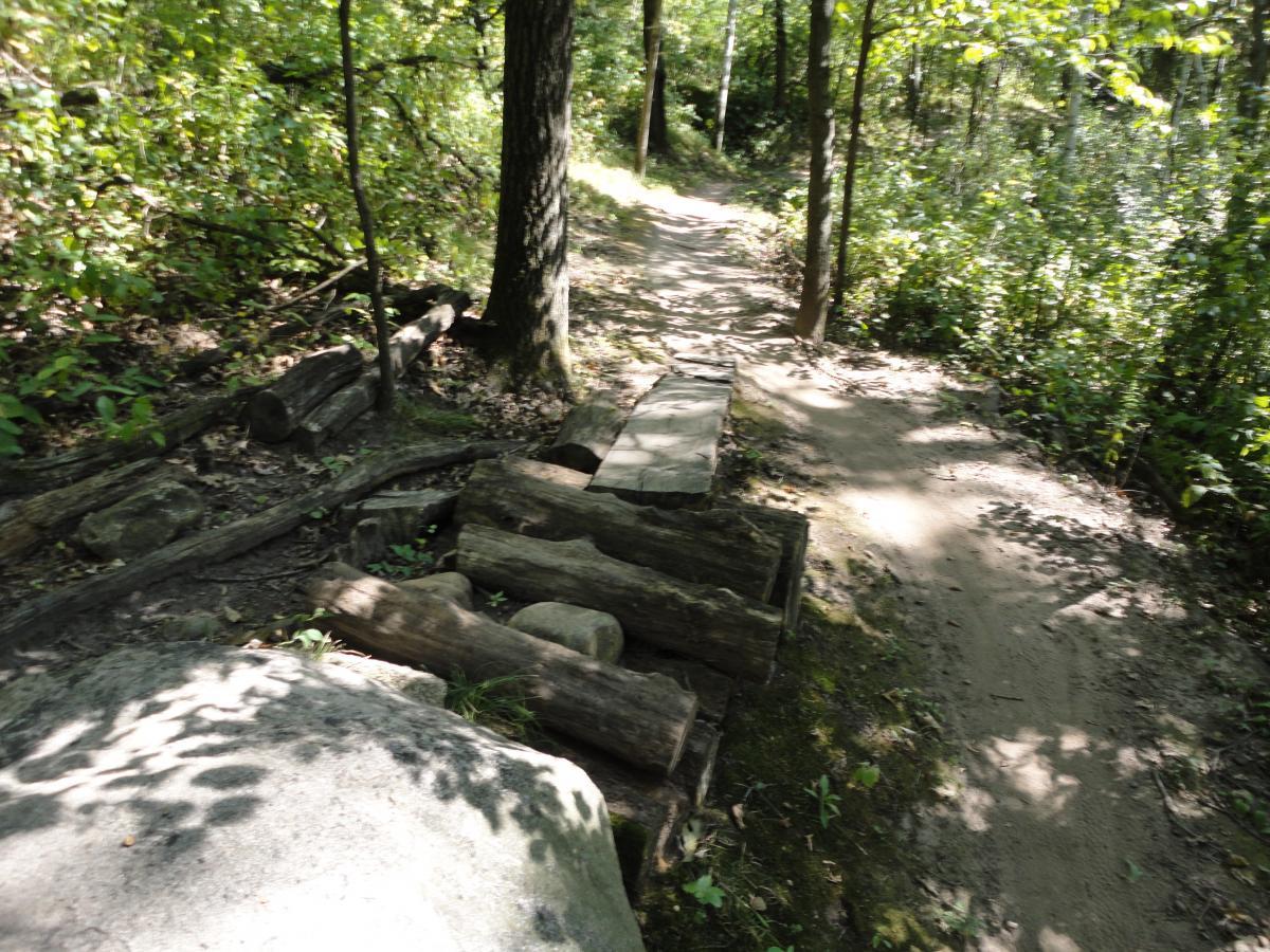 A sunlit forest path surrounded by greenery, featuring logs and rocks along the trail, with dappled shadows on the ground. The path curves gently, inviting exploration into the wooded area. Hillside Park mountain bike trail.