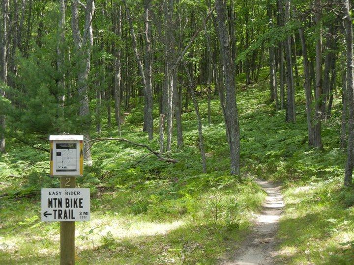 A wooded area featuring a narrow dirt path leading into the forest. A trail sign labeled "Easy Rider MTN BIKE TRAIL" stands on the left, indicating a 3-mile loop. The landscape is filled with green ferns and tall trees, creating a serene and inviting atmosphere for outdoor activities. Hanson Hills mountain bike trail.