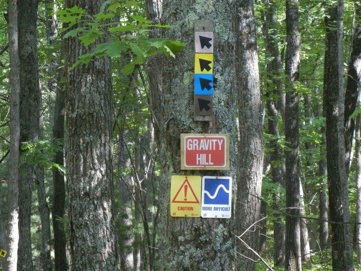 A tree in a forest displaying multiple signs, including one that reads "GRAVITY HILL," along with caution and trail difficulty indicators. The background features lush green foliage. Hanson Hills mountain bike trail.