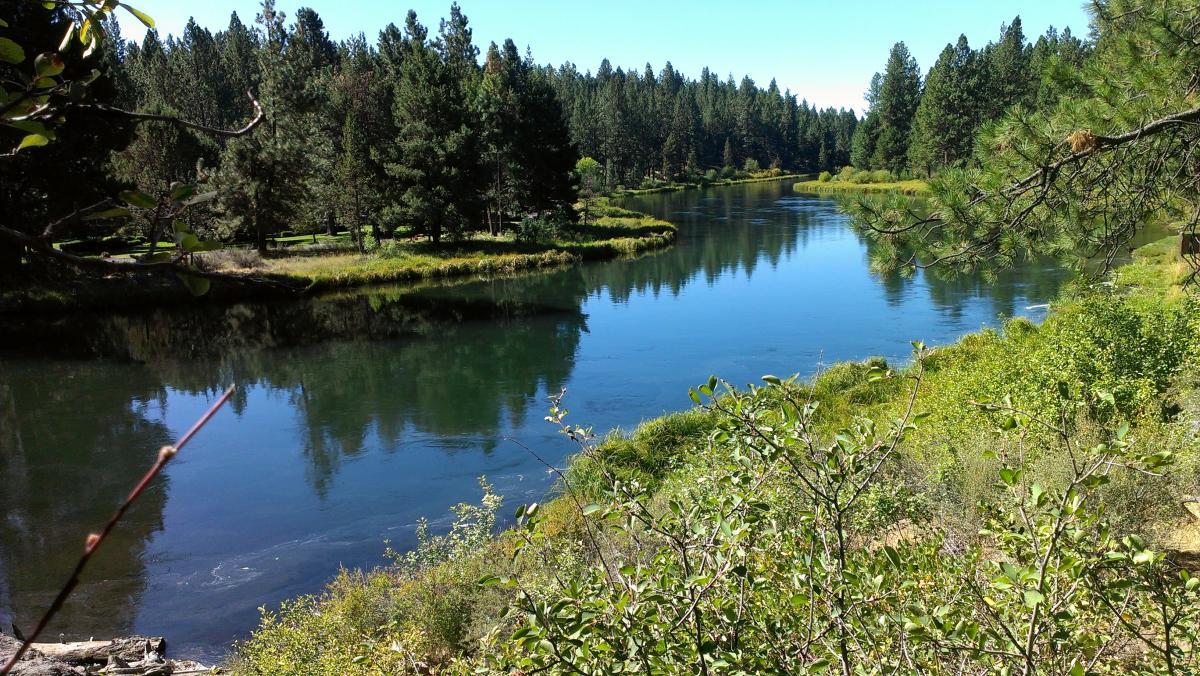 A serene landscape featuring a calm, reflective river surrounded by lush greenery and tall pine trees. The water is clear and mirrors the blue sky and surrounding foliage, creating a tranquil natural scene. Deschutes River mountain bike trail.