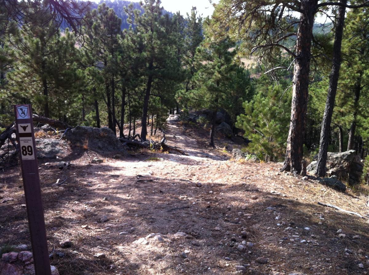 A dirt trail winding through a forest of pine trees, marked by a sign indicating "Exploration Trail 89." The path is surrounded by rocks and foliage, with sunlight filtering through the trees. Centennial Trail mountain bike trail.