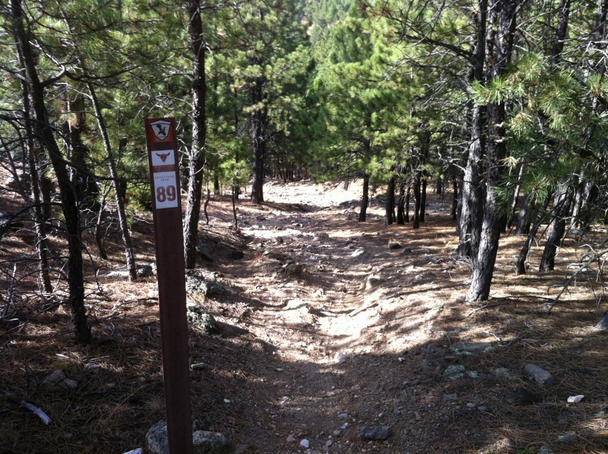 A dirt trail winding through a forest of pine trees, marked by a brown trail sign displaying the number 89. The ground is uneven with rocks and shadows cast by the tall trees, indicating a natural and rugged hiking environment. Centennial Trail mountain bike trail.