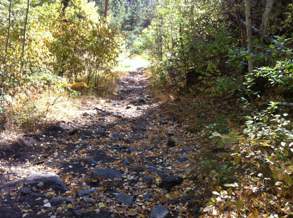 A rocky, uneven hiking trail surrounded by trees and autumn foliage, with scattered leaves on the ground and dappled sunlight filtering through the branches. Centennial Trail mountain bike trail.