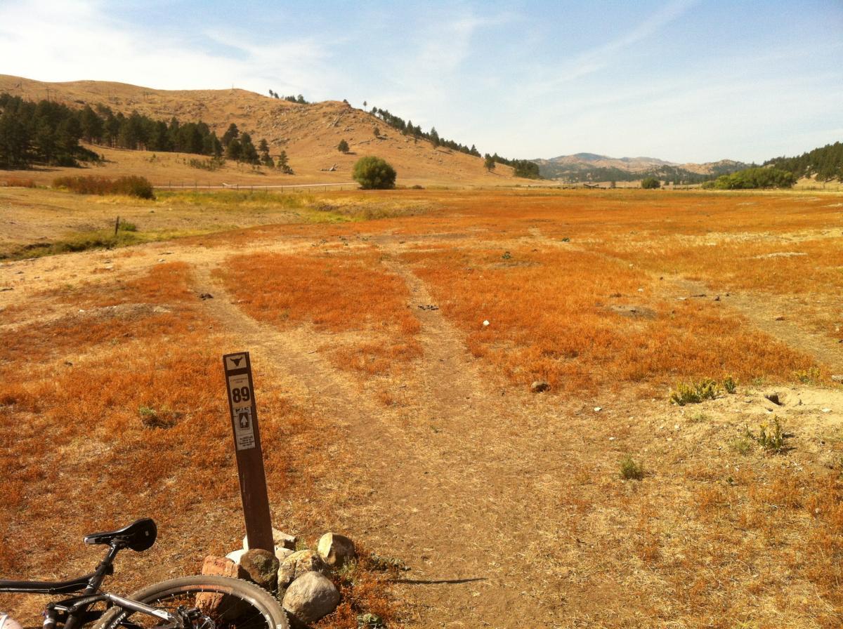 A landscape view showing a dry, golden field with patches of orange grass and a dirt path leading into the distance. A trail marker labeled "89" stands alongside rocks, with a bicycle partially visible in the foreground. In the background, rolling hills and scattered trees stretch under a clear blue sky. Centennial Trail mountain bike trail.