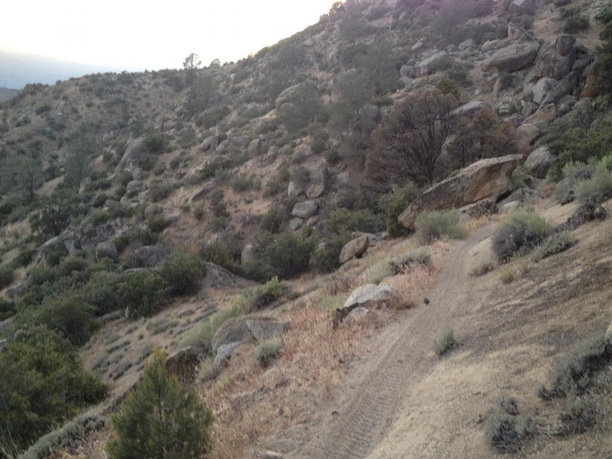 A rugged hillside landscape featuring rocky terrain, sparse vegetation, and a dirt trail winding through. The scene captures a mix of dry grasses, shrubs, and scattered trees under a cloudy sky, suggesting a natural outdoor environment. The Cannell Plunge mountain bike trail.